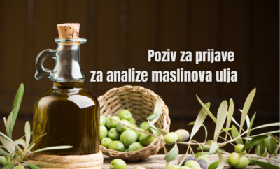 Poziv za prijave za analize maslinovog ulja