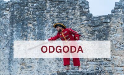 Odgoda „Dvigrad Storytelling Tour-a“